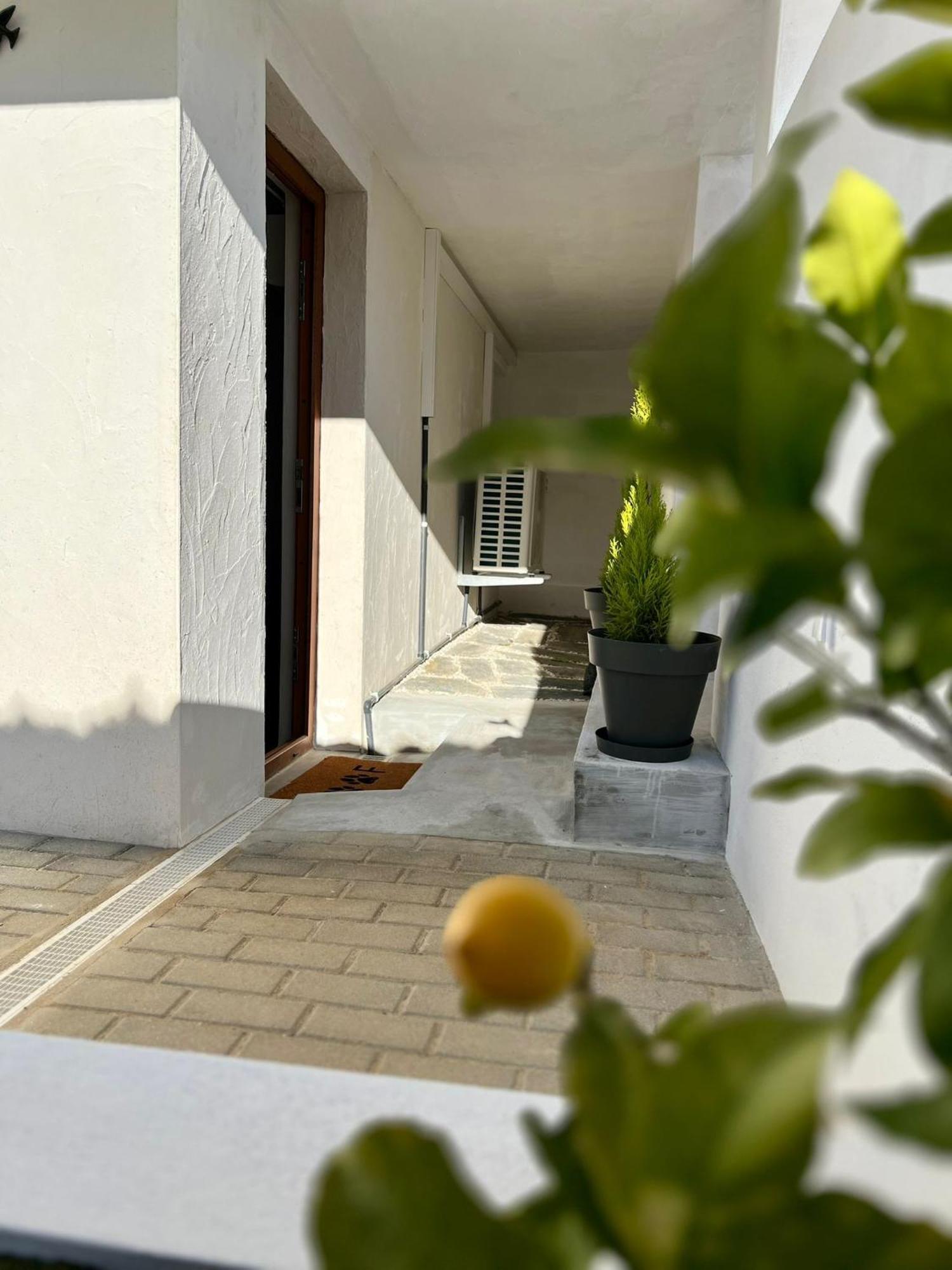 Casa Do Castro Lejlighed Bragança Eksteriør billede